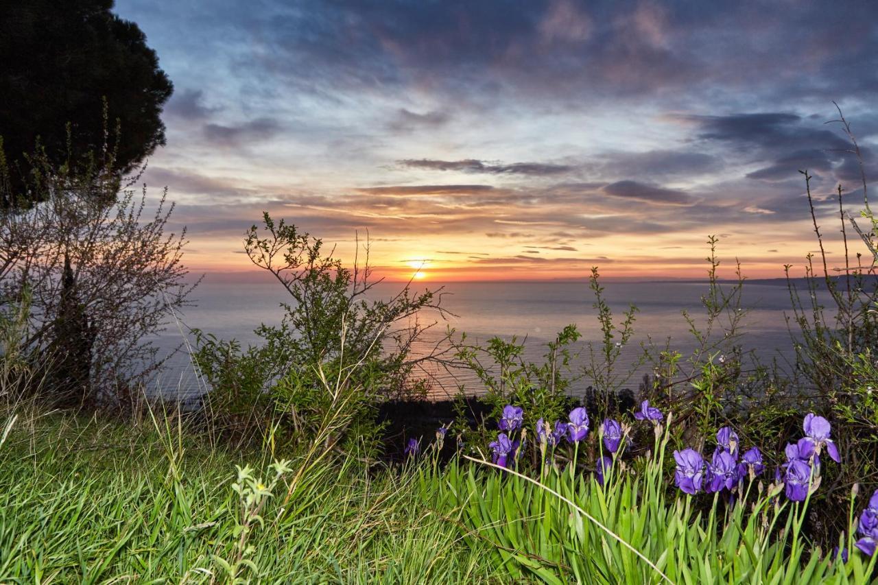 Best Vasto Exterior foto
